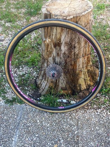 Käytetty Fulcrum Racing Light XRL Rim Brake Wheels bike — kuva 2 / 2