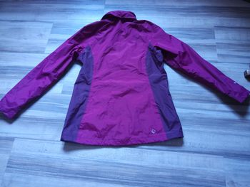 Regatta, XL