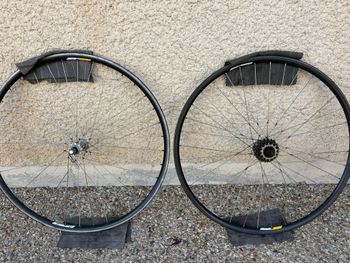 Campagnolo, Omega