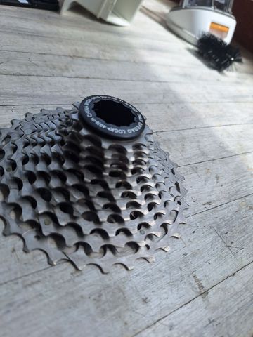 spedao 10 bike d'occasion — image 2 sur 2