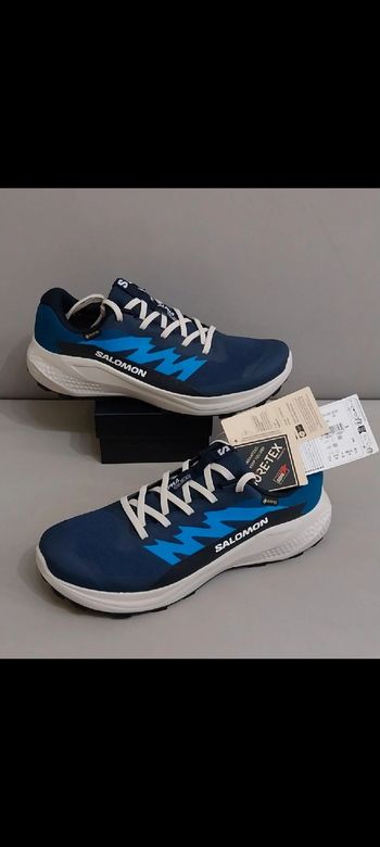 Salomon, Alphaglide Gore-Tex Shoes