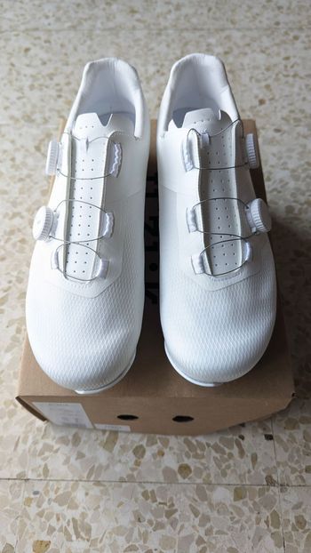 Fizik, Lyra