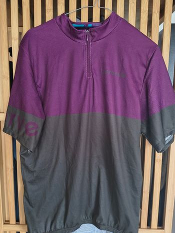 Used Everve Jersey bike — image 3 of 7