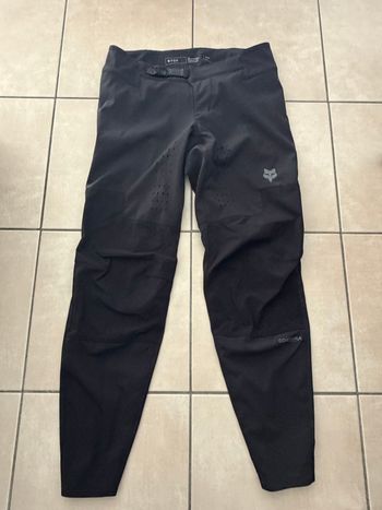 Fox, Defend Pants