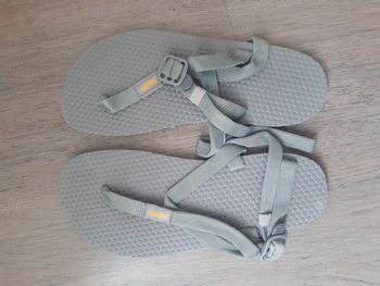 panta, Zaros