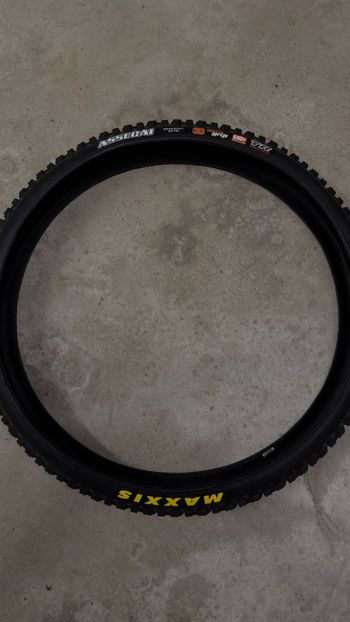 Maxxis, Assegai 29 x 2.50WT 3C MaxxTerra EXO+