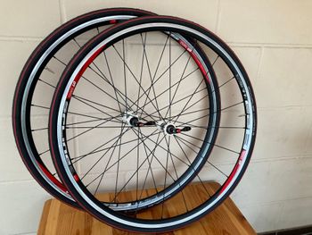 Dt Swiss, R 23 Spline