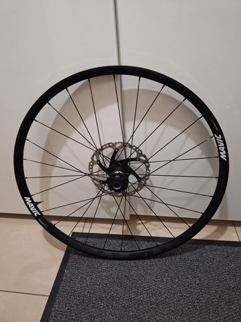 Mavic, Deemax DH 29