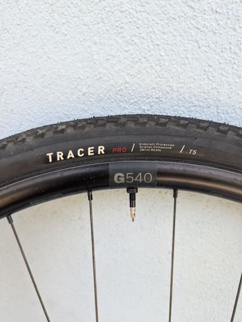Used Dt Swiss G540 Tubless 12x100 - 12x142 bike — image 6 of 6