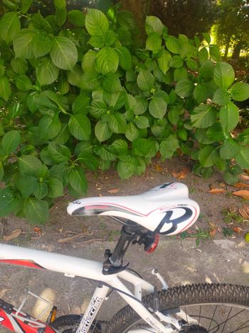 Used Bottecchia FX 510 Rear Derailleur 2022 bike — image 3 of 4