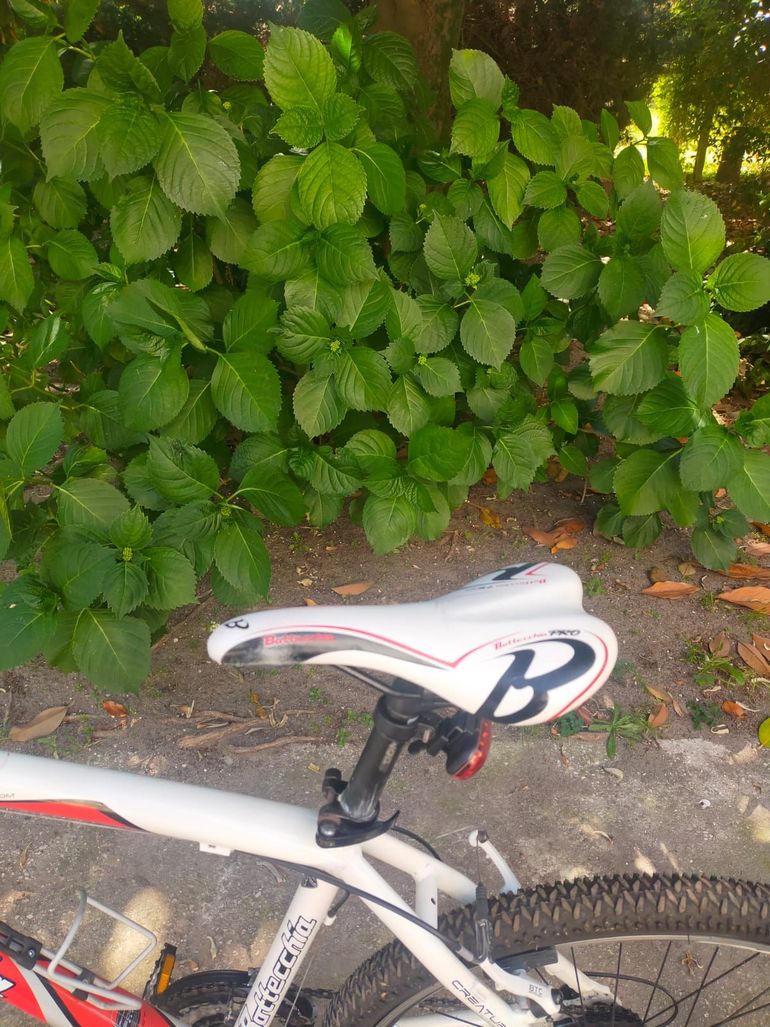 Used Bottecchia FX 510 Rear Derailleur 2022 bike — image 3 of 4