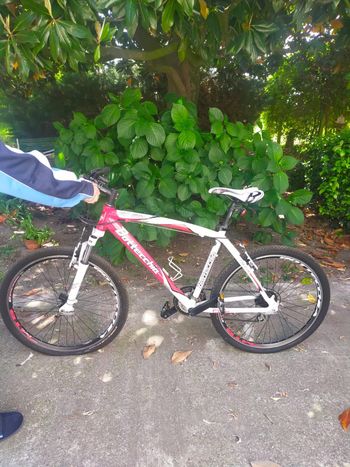Used Bottecchia FX 510 Rear Derailleur 2022 bike — image 1 of 4