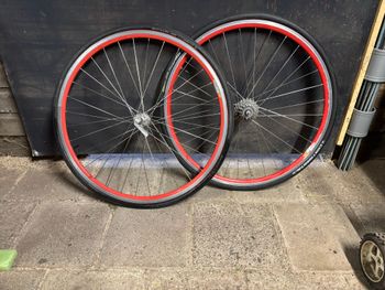Mavic, cxp33