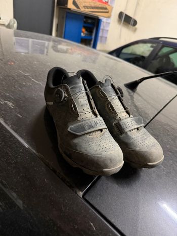Bontrager, Foray MTB Shoes 43