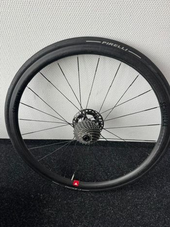 schmolke tlo, TLO 30 Disc Clincher