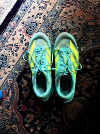 Adidas, ADIZERO EVO SL