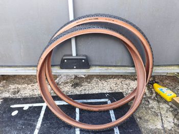 Schwalbe, X One R