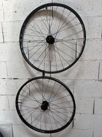 E*Thirteen, LG1 Enduro 29