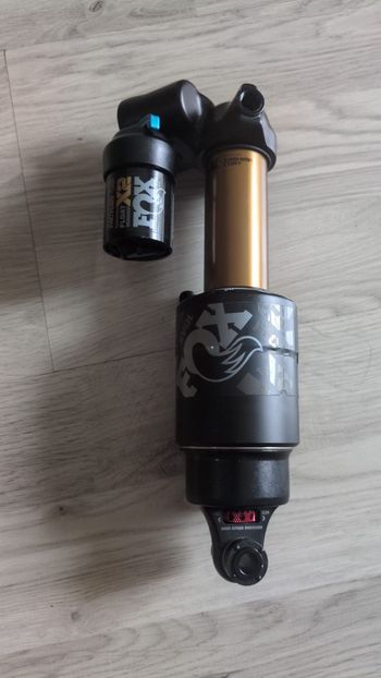 Fox, brand new x 2 khasima