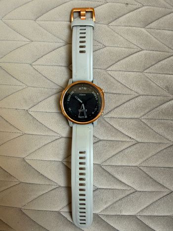 Garmin, Fenix 6S Pro Sapphire GPS Watch
