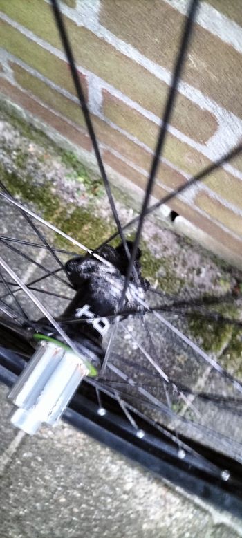 Used Hope Hoops Wheelset bike — image 4 of 9