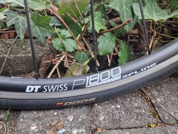 Dt Swiss, P 1800 SPLINE Wheelset