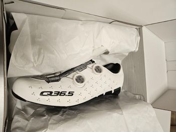 Q36.5, UNIQUE ROAD WHITE