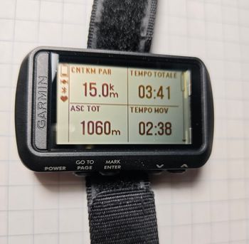 Garmin, Foretrex 601