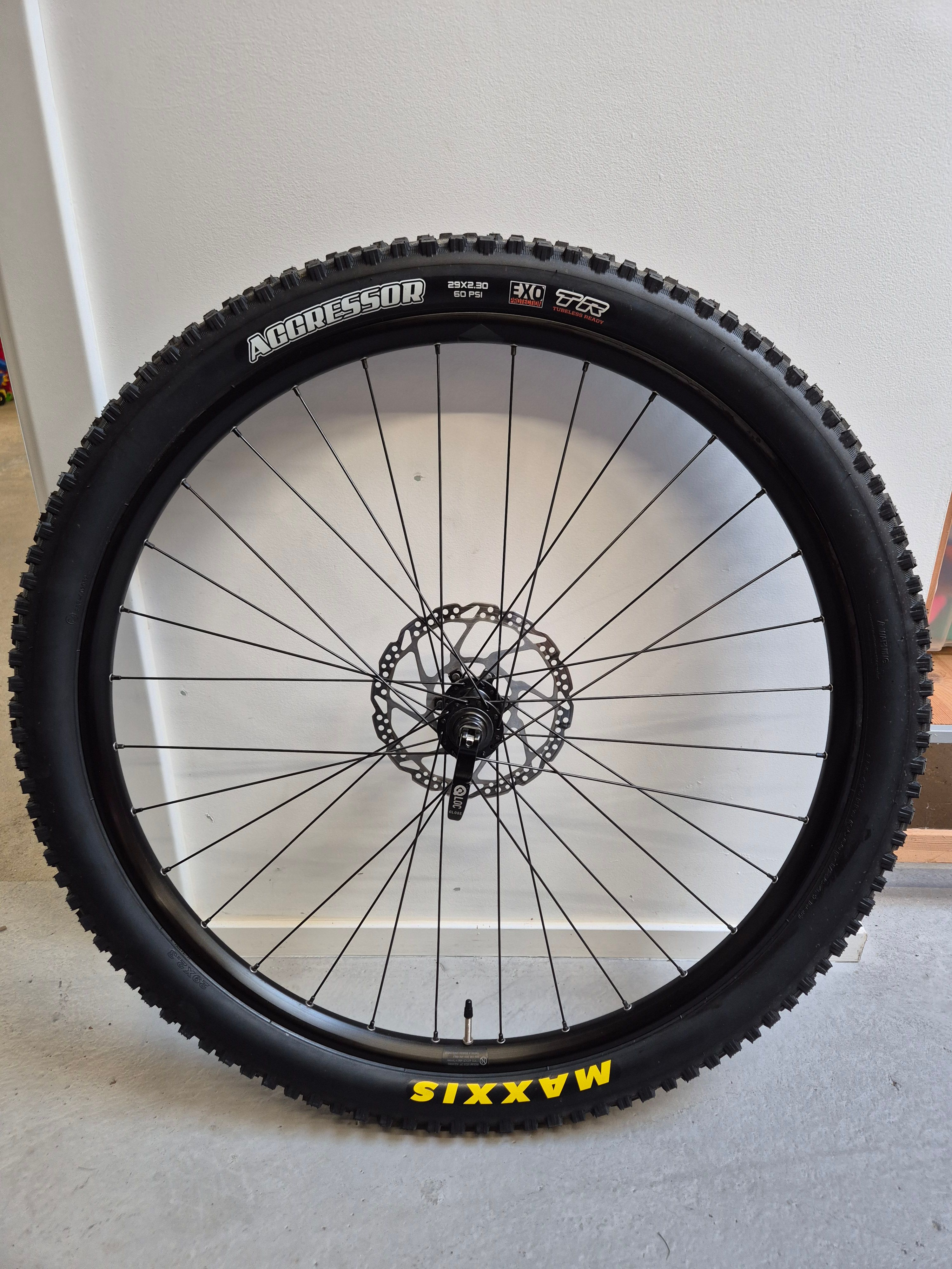 Alexrims, Maxxis, Shimano Alexrims Iridium-MD25 29