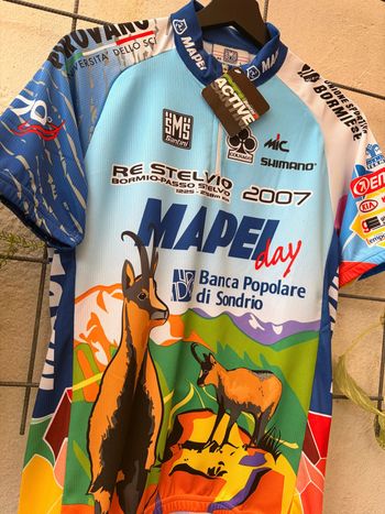 Used Santini X Mapei RE Stelvio Fahrradtrikot Rennrad Trikot GR L 2007 bike — image 4 of 8