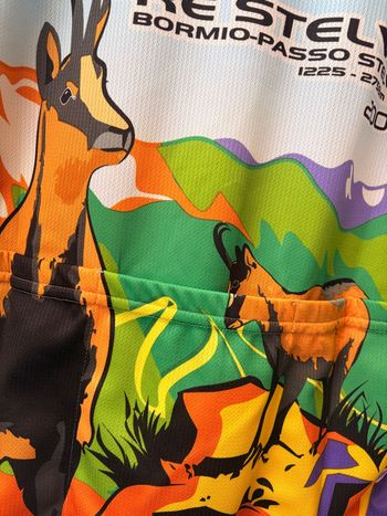 Used Santini X Mapei RE Stelvio Fahrradtrikot Rennrad Trikot GR L 2007 bike — image 8 of 8
