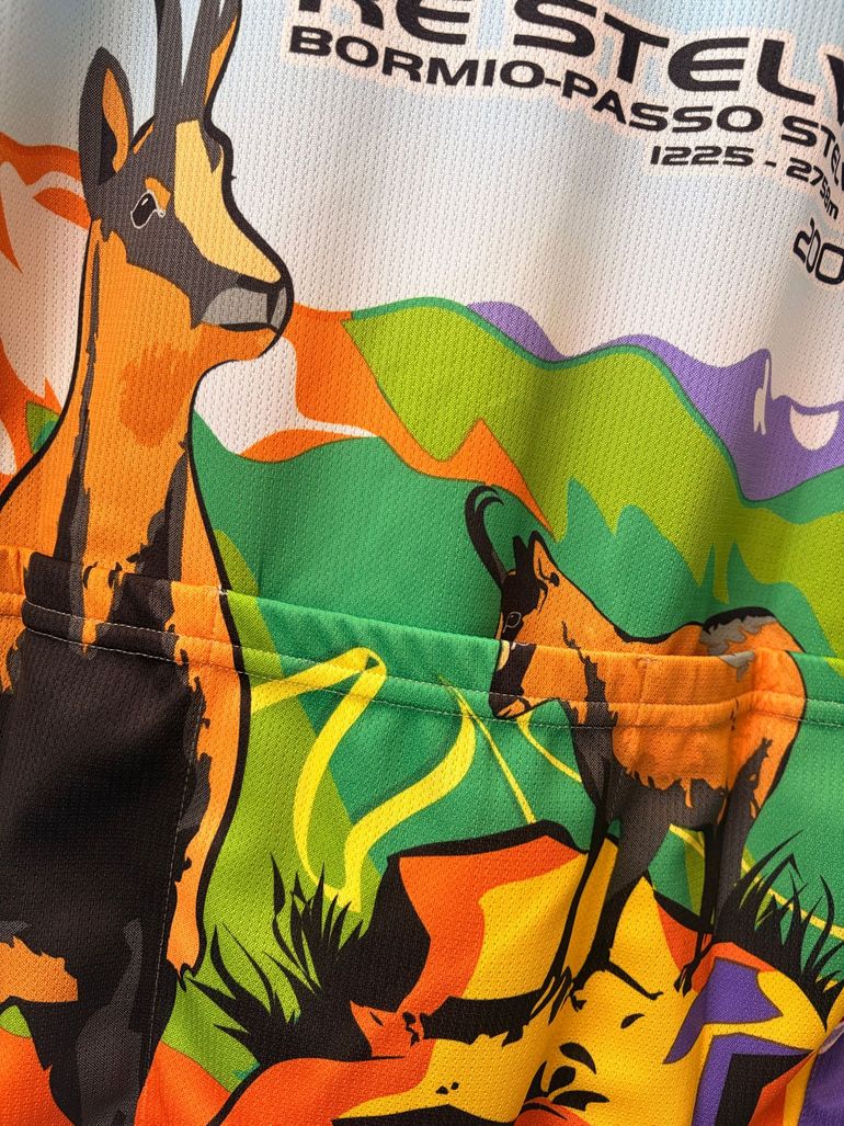 Used Santini X Mapei RE Stelvio Fahrradtrikot Rennrad Trikot GR L 2007 bike — image 8 of 8