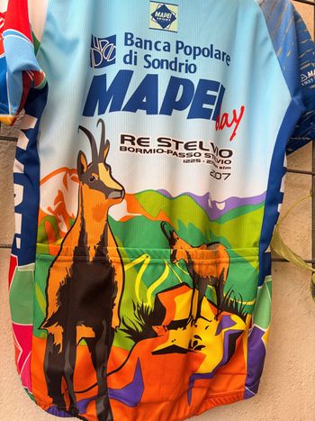 Used Santini X Mapei RE Stelvio Fahrradtrikot Rennrad Trikot GR L 2007 bike — image 7 of 8