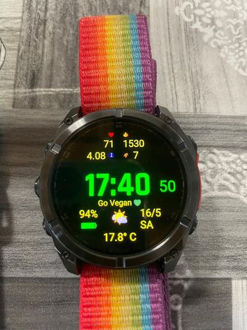 Garmin, Fenix 8 51mm