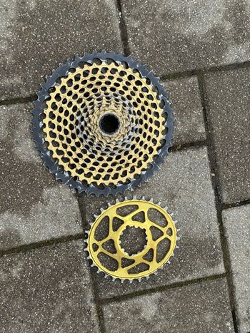 Sram, XX1 10-50 Cassette