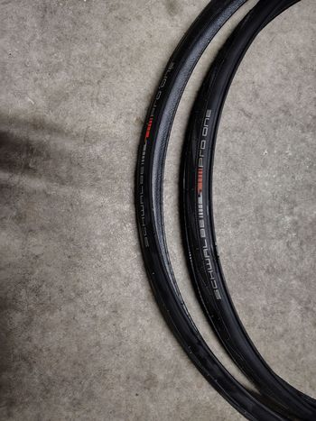 Used Schwalbe Pro ONE 28 700 x 28C ADDIX Race 2026 bike