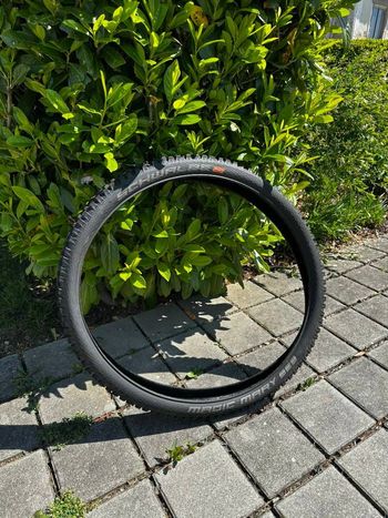 Used Schwalbe Magic Mary 2020 bike