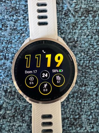 Garmin, Forerunner 965 GPS Watch