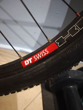 Dt Swiss, 240s Hub with EXC 330 Carbon Rim