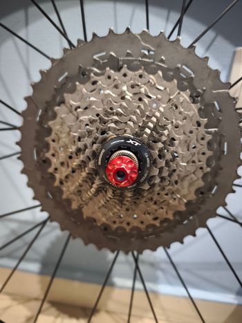 Dt Swiss, 240s HTC 330 Carbon Rear Hub