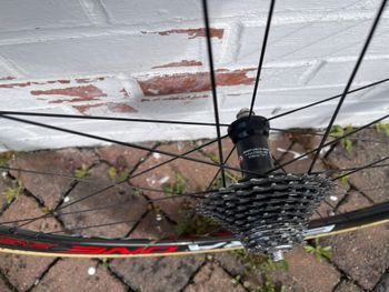 Used Campagnolo Bora One 35 bike — image 4 of 4