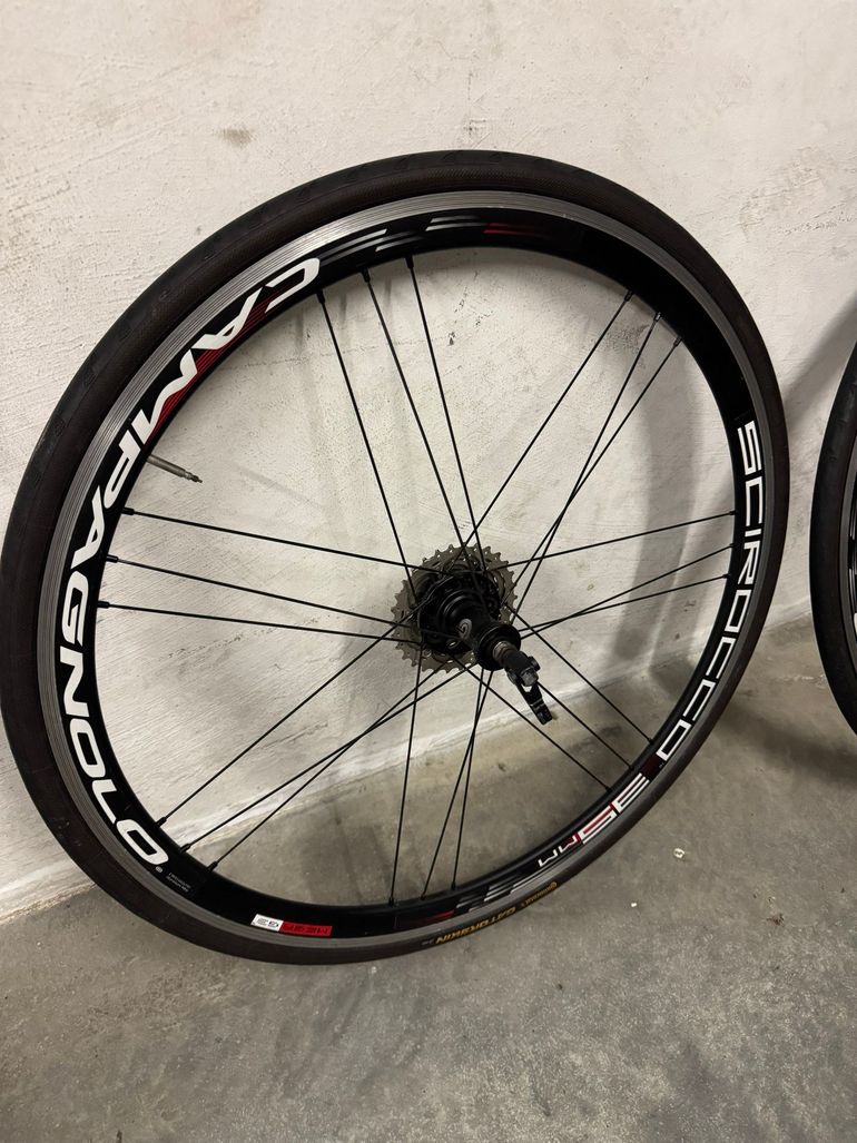 Used Campagnolo Scirocco C18.5 2017 bike — image 2 of 4