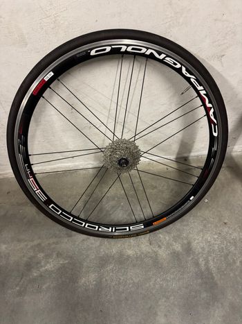 Used Campagnolo Scirocco C18.5 2017 bike — image 3 of 4