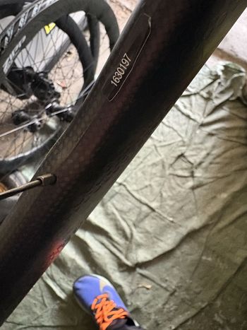 Used Zipp 353 NSW Tubeless Disc-brake Wheelset bike — image 9 of 11