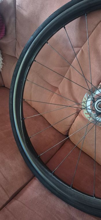Used Campagnolo Levante Gravel Wheelset 2024 bike