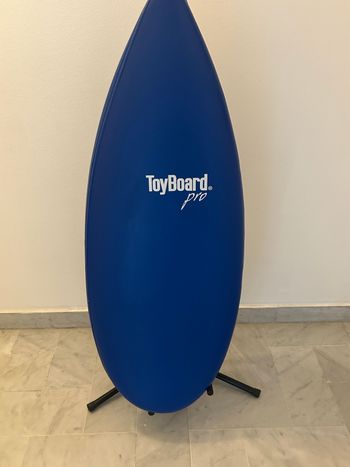 Used TOYBOARD Surfing Balance Board bike