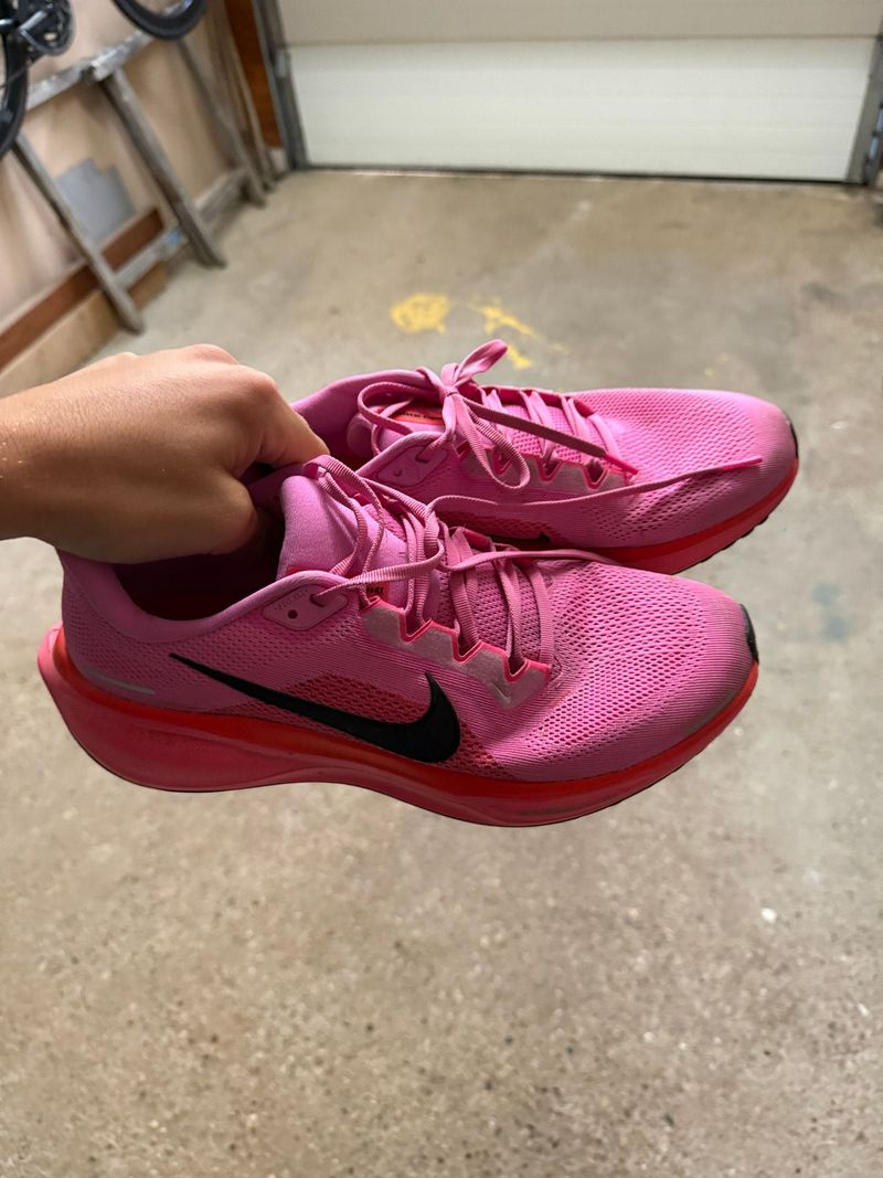Used Nike Pegasus 41 2026 Running Shoes