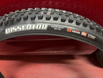 Used Maxxis Dissector bike