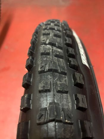 Used Maxxis Dissector bike — image 2 of 2