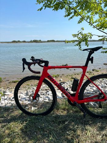 Used Giant SLR 2 36 Disc Wheelset 2024 bike — image 2 of 7